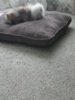 processed/a95b65e1-9c4c-4e7b-9f31-5b26f5d6b628/facility/dbbe7ec0-d4dd-4a00-9528-8eb0d8b4d9a9