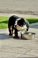 processed/a95b7bc5-362e-4f72-a900-cf99fb1be58f/listing/63f15559-bc5d-42c4-90bc-a6699a5a4bfd/14ada572-2279-4934-a48f-0f0e80f62737