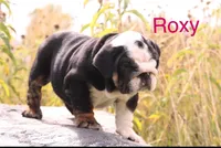 processed/a95b7bc5-362e-4f72-a900-cf99fb1be58f/listing/63f15559-bc5d-42c4-90bc-a6699a5a4bfd/458d39e2-670d-4159-aca2-25efdad69cd3