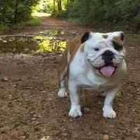 processed/a96c263b-cbac-44f8-ab50-002126d1c048/facility/5cf7497f-979d-4075-a045-e5bc685792d8