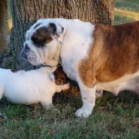 processed/a96c263b-cbac-44f8-ab50-002126d1c048/facility/8a81961b-ce3b-49ac-897b-f38583ec80d4