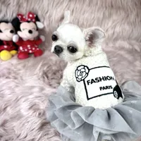 MASHA, a female Chihuahua for sale in Sacramento, CA – Photo 1 of 10