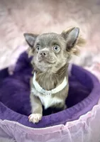 processed/a96de38f-4a29-47f9-b7ab-2ae275ca5367/listing/491b5bb7-2abd-48df-a347-d9aed3461a89/02ac24ac-d350-4356-b36f-53409e2c40c7