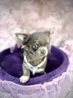 processed/a96de38f-4a29-47f9-b7ab-2ae275ca5367/listing/491b5bb7-2abd-48df-a347-d9aed3461a89/2ccab703-4d68-440c-9cc4-68188c8d0a76