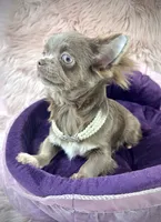 processed/a96de38f-4a29-47f9-b7ab-2ae275ca5367/listing/491b5bb7-2abd-48df-a347-d9aed3461a89/4bb85894-fb52-47e5-83d5-dcf062eb4574