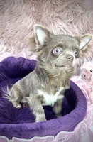 processed/a96de38f-4a29-47f9-b7ab-2ae275ca5367/listing/491b5bb7-2abd-48df-a347-d9aed3461a89/aeeeb7b7-3e66-41ca-be6d-70fb3f074ea0