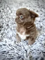 processed/a96de38f-4a29-47f9-b7ab-2ae275ca5367/listing/491b5bb7-2abd-48df-a347-d9aed3461a89/bfdfdc18-be63-4005-ac68-c19fdf0a675b