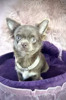 processed/a96de38f-4a29-47f9-b7ab-2ae275ca5367/listing/491b5bb7-2abd-48df-a347-d9aed3461a89/c70782b9-4f84-498c-b366-fd0663271b75