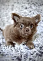 processed/a96de38f-4a29-47f9-b7ab-2ae275ca5367/listing/491b5bb7-2abd-48df-a347-d9aed3461a89/d11babc7-7044-450d-a124-29d3b5848b51