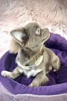 processed/a96de38f-4a29-47f9-b7ab-2ae275ca5367/listing/491b5bb7-2abd-48df-a347-d9aed3461a89/f5afa595-05b8-4c3d-af9e-e100fbac712d