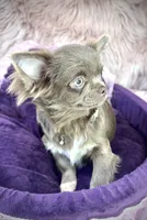 processed/a96de38f-4a29-47f9-b7ab-2ae275ca5367/listing/491b5bb7-2abd-48df-a347-d9aed3461a89/fe119a86-31b4-4453-a30c-a5f41bf51829