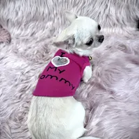 Tiny BIJOU, a female Chihuahua for sale in Sacramento, CA – Photo 10 of 10