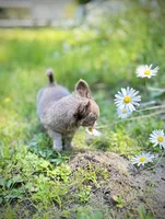 processed/a96de38f-4a29-47f9-b7ab-2ae275ca5367/listing/acea0b18-dbfa-4860-bd81-e30743601ea8/1ef81d03-2aa6-4a28-894f-e80dddf37f3b