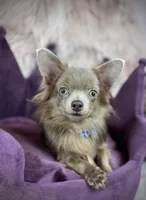 processed/a96de38f-4a29-47f9-b7ab-2ae275ca5367/listing/acea0b18-dbfa-4860-bd81-e30743601ea8/3171a0fc-9af2-4d42-872f-b0f71ec8c021