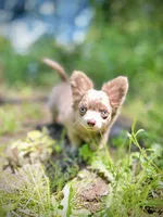 processed/a96de38f-4a29-47f9-b7ab-2ae275ca5367/listing/acea0b18-dbfa-4860-bd81-e30743601ea8/3f0c759e-9c27-45b7-a809-4d20fbc30cb1