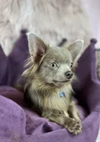 processed/a96de38f-4a29-47f9-b7ab-2ae275ca5367/listing/acea0b18-dbfa-4860-bd81-e30743601ea8/5e8e6bd0-c175-4f70-b635-3b25c24cbbfa