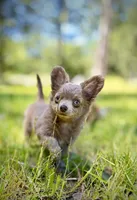 processed/a96de38f-4a29-47f9-b7ab-2ae275ca5367/listing/acea0b18-dbfa-4860-bd81-e30743601ea8/65cd3ffb-a313-473d-ab52-b2b53ee30d4b