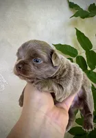 processed/a96de38f-4a29-47f9-b7ab-2ae275ca5367/listing/acea0b18-dbfa-4860-bd81-e30743601ea8/b34f1e36-1c6c-4e52-a96d-5323b312585e