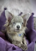 processed/a96de38f-4a29-47f9-b7ab-2ae275ca5367/listing/acea0b18-dbfa-4860-bd81-e30743601ea8/dffa68de-07c5-48fa-bf03-1cac12ad1571