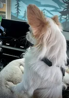 processed/a96de38f-4a29-47f9-b7ab-2ae275ca5367/listing/c287b46f-7513-4dad-bd18-ad4d00881e8e/112004c6-d6ba-4268-ba12-6285ead4f04e