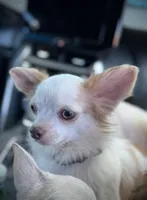 processed/a96de38f-4a29-47f9-b7ab-2ae275ca5367/listing/c287b46f-7513-4dad-bd18-ad4d00881e8e/594cd814-d9f0-407e-9ddf-8bc265925272