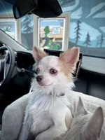 processed/a96de38f-4a29-47f9-b7ab-2ae275ca5367/listing/c287b46f-7513-4dad-bd18-ad4d00881e8e/76393cba-b3c9-4904-ae3c-6ad4c31236e9