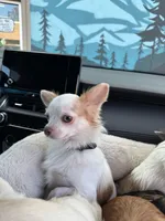 processed/a96de38f-4a29-47f9-b7ab-2ae275ca5367/listing/c287b46f-7513-4dad-bd18-ad4d00881e8e/97ad72ea-b7aa-47d6-ae21-0f4cec8b58c8