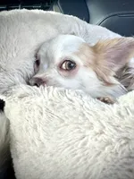 processed/a96de38f-4a29-47f9-b7ab-2ae275ca5367/listing/c287b46f-7513-4dad-bd18-ad4d00881e8e/9a84d4d1-b00e-455a-89b1-74419111f3ce