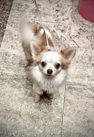 processed/a96de38f-4a29-47f9-b7ab-2ae275ca5367/listing/c287b46f-7513-4dad-bd18-ad4d00881e8e/a9e5005f-b6a0-4da1-b133-8623114ca7ca