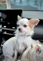 processed/a96de38f-4a29-47f9-b7ab-2ae275ca5367/listing/c287b46f-7513-4dad-bd18-ad4d00881e8e/bac7694f-78e4-45ec-a0be-47fe01916bbf