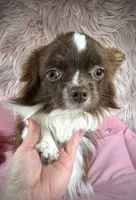 processed/a96de38f-4a29-47f9-b7ab-2ae275ca5367/listing/fbc0f3a9-dfe5-43f0-949a-158fc2217786/1b7f6daa-179d-4296-86fb-a5e070fb0f43