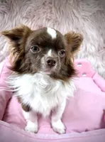 processed/a96de38f-4a29-47f9-b7ab-2ae275ca5367/listing/fbc0f3a9-dfe5-43f0-949a-158fc2217786/41d6ba57-56d8-4ccf-961a-eb391670f7b4