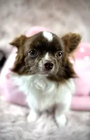 processed/a96de38f-4a29-47f9-b7ab-2ae275ca5367/listing/fbc0f3a9-dfe5-43f0-949a-158fc2217786/51f65549-c85e-4406-969d-d5a9d4773d61