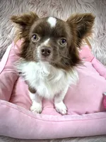 processed/a96de38f-4a29-47f9-b7ab-2ae275ca5367/listing/fbc0f3a9-dfe5-43f0-949a-158fc2217786/987ee10b-4396-4109-a187-b35b63601d78