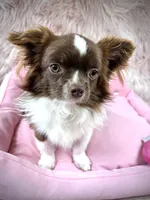 processed/a96de38f-4a29-47f9-b7ab-2ae275ca5367/listing/fbc0f3a9-dfe5-43f0-949a-158fc2217786/ad1a758a-4a05-413f-8fb3-3117389d4a4a