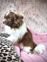 processed/a96de38f-4a29-47f9-b7ab-2ae275ca5367/listing/fbc0f3a9-dfe5-43f0-949a-158fc2217786/dd94a968-4fc3-4fe3-81f2-8a861f3d3943