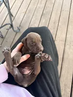 processed/a9702be3-69ad-48d2-bdc2-6005b1beac46/listing/51aa38d9-7ede-4e80-a799-73ebd77d9593/7af6f224-55fd-4932-b687-92f5052f1d33