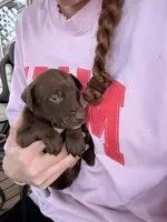 processed/a9702be3-69ad-48d2-bdc2-6005b1beac46/listing/51aa38d9-7ede-4e80-a799-73ebd77d9593/9d2399c1-a912-439b-94bc-474101b28b46