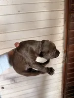 processed/a9702be3-69ad-48d2-bdc2-6005b1beac46/listing/51aa38d9-7ede-4e80-a799-73ebd77d9593/c0719b0c-02b1-4720-83e8-b7dfa4dd581f