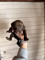 processed/a9702be3-69ad-48d2-bdc2-6005b1beac46/listing/51aa38d9-7ede-4e80-a799-73ebd77d9593/f102414f-342c-43c1-a57b-7f4df914844b