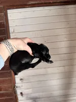 processed/a9702be3-69ad-48d2-bdc2-6005b1beac46/listing/ff707b1e-c6ed-449a-a7bb-688fe59b2ef7/57e64f47-ec7a-43f2-8c09-f519d381aa0d