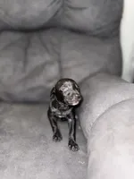 processed/a9702be3-69ad-48d2-bdc2-6005b1beac46/listing/ff707b1e-c6ed-449a-a7bb-688fe59b2ef7/66273d8a-94d4-4d52-9e52-f98107a16f9f