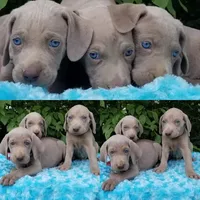 processed/a97a80a7-a193-4234-87f9-70368dc07d99/facility/307d7d63-928e-4aaa-a1f1-0c330e886950