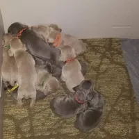 processed/a97a80a7-a193-4234-87f9-70368dc07d99/facility/ec0462ba-b466-4f07-aa67-7bcaea335730