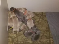 processed/a97a80a7-a193-4234-87f9-70368dc07d99/facility/ec0462ba-b466-4f07-aa67-7bcaea335730