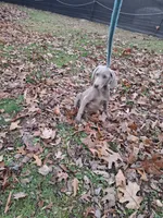 processed/a97a80a7-a193-4234-87f9-70368dc07d99/listing/a1492add-dd71-4ee2-b9f1-9928d57b1783/0d50b00a-a297-4ae3-9f6a-144c89917a30