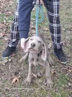 processed/a97a80a7-a193-4234-87f9-70368dc07d99/listing/a1492add-dd71-4ee2-b9f1-9928d57b1783/930323dd-60da-4414-8073-c2da5a590486