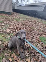 processed/a97a80a7-a193-4234-87f9-70368dc07d99/listing/c28ef5ba-bc6a-4668-8d66-fd3dc23e3aca/1616df1b-0386-4333-beb6-8b9047b9d46c