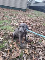 processed/a97a80a7-a193-4234-87f9-70368dc07d99/listing/c28ef5ba-bc6a-4668-8d66-fd3dc23e3aca/bff09000-2d6d-44d4-909d-11eb9aca9a63