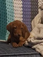 processed/a97a80a7-a193-4234-87f9-70368dc07d99/listing/f07c3bd5-93e5-4a8d-b0a0-476aa1056dd6/46edc576-9dc5-4cc5-aca1-455a7351bc6f